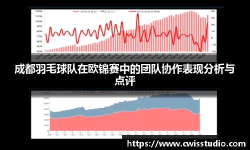 成都羽毛球队在欧锦赛中的团队协作表现分析与点评